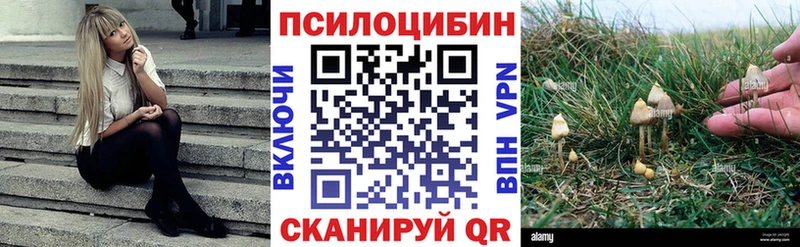 Псилоцибиновые грибы GOLDEN TEACHER Кирсанов